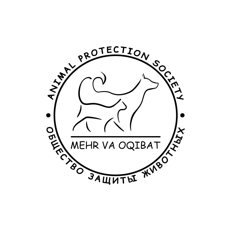 hissa company avatar